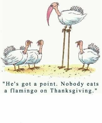 thanksgiving Happy Thanksgiving from The Lawn Boys, Billings, Montana
