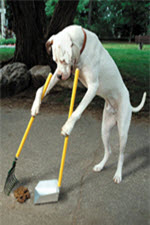 Doggy Poop Doggy Poop Scooper Dog From The Lawn Boys