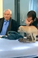 dog poops on national television Dog Decides to go on National TV. - The Lawn Boys Pet Waste Removal Service. No more doggy poop in your Billings Montana yard