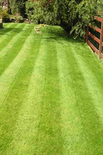 The Lawn Boys The Lawn Boys Lawn Care