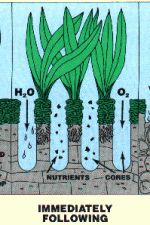 Core Aeration - The Lawn Boys - Billings, Montana Aeration - The Lawn Boys - Billings, Montana