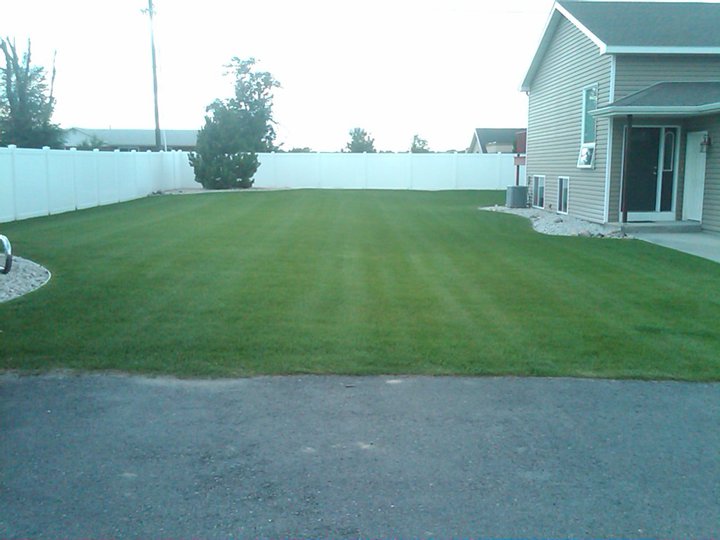 Freshly mow lawn in Billings, Montana