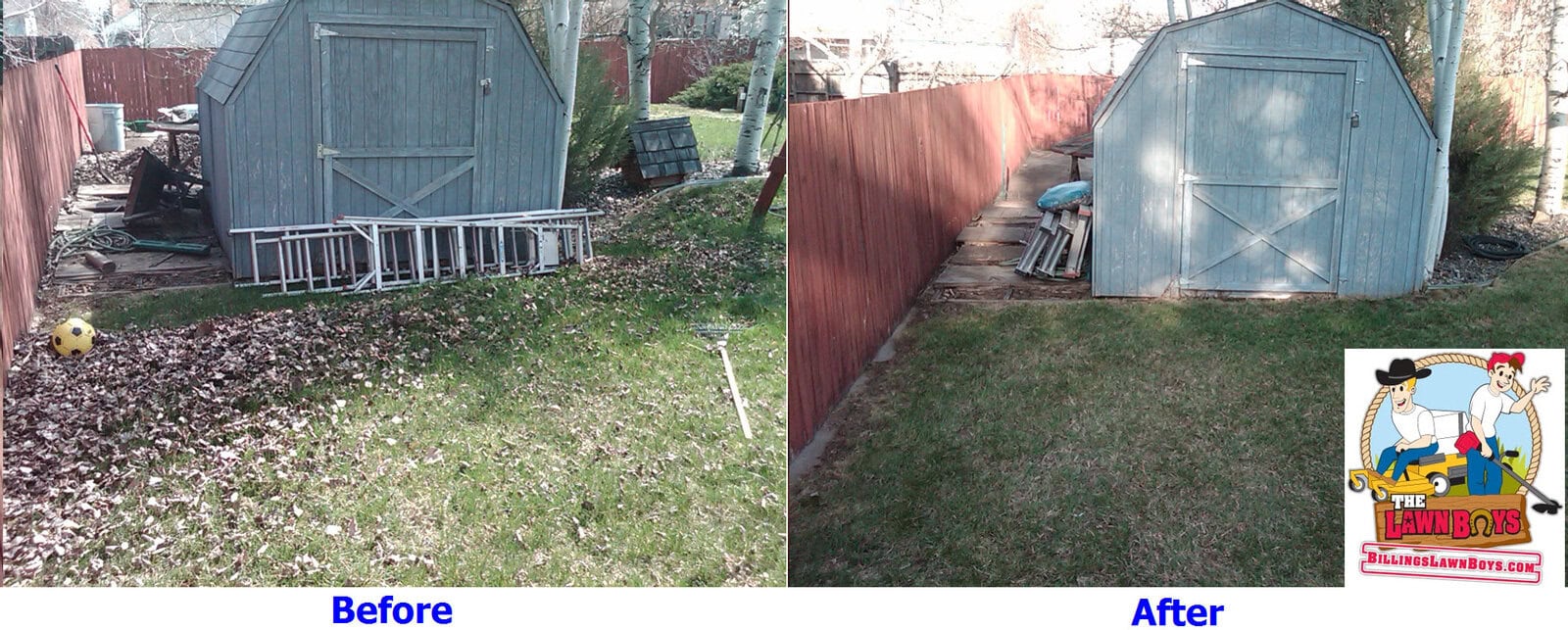 Seasonal yard cleanup before and after in Billings MT