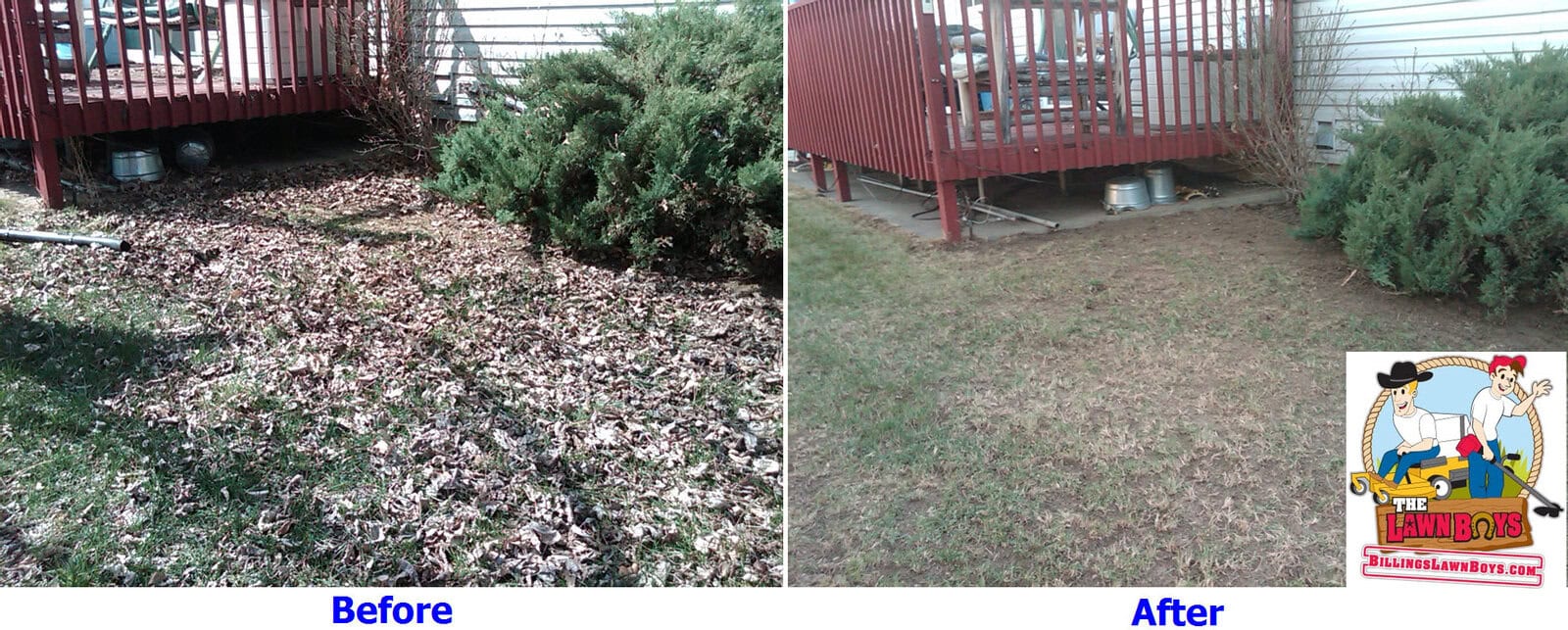 Fall leaf removal and yard cleanup in Billings Montana